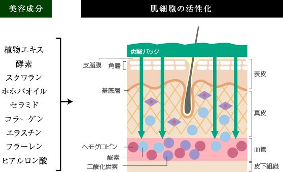 An approach to all the cells of the skin